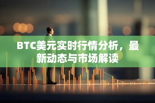 BTC美元实时行情分析，最新动态与市场解读