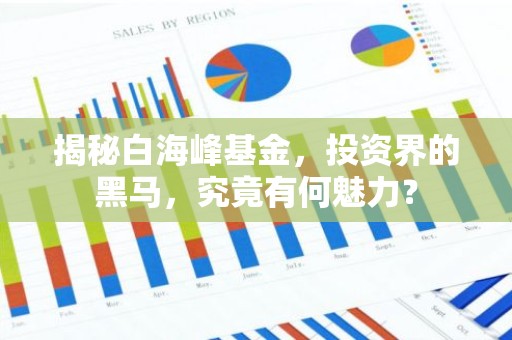 揭秘白海峰基金，投资界的黑马，究竟有何魅力？
