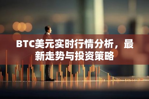 BTC美元实时行情分析，最新走势与投资策略