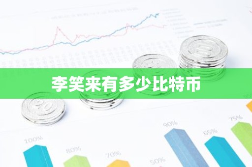李笑来有多少比特币