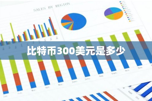 比特币300美元是多少