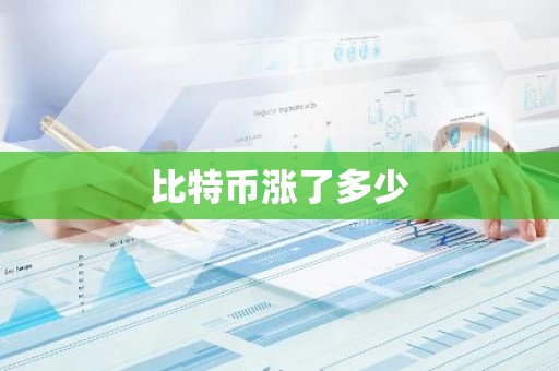 比特币涨了多少