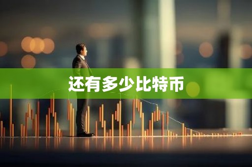 还有多少比特币