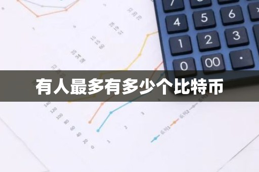 有人最多有多少个比特币