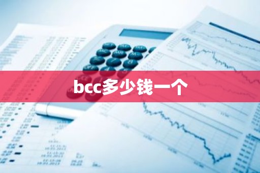 bcc多少钱一个