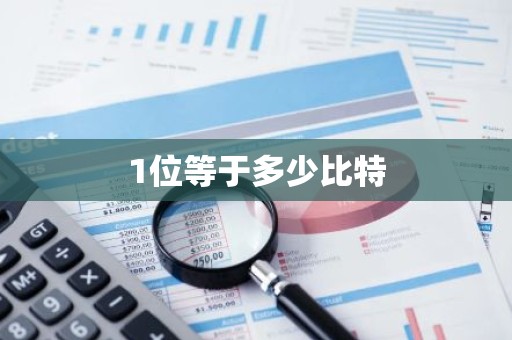 1位等于多少比特
