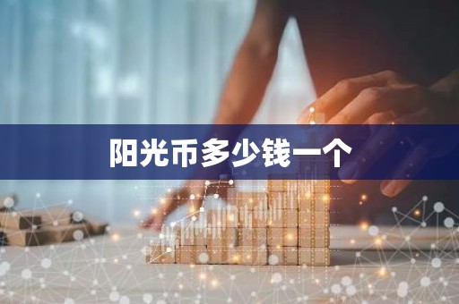 阳光币多少钱一个