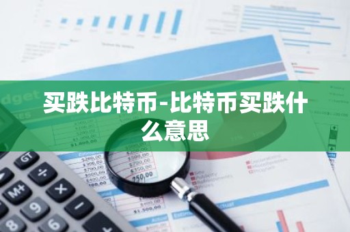 买跌比特币-比特币买跌什么意思