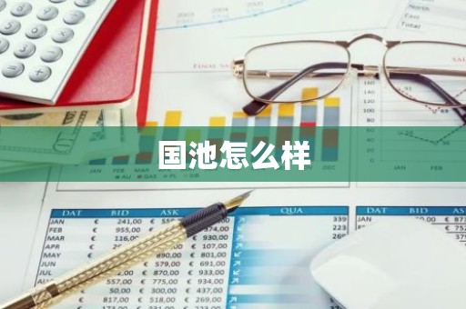 国池怎么样