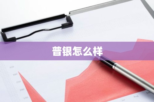 普银怎么样
