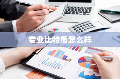 专业比特币怎么样