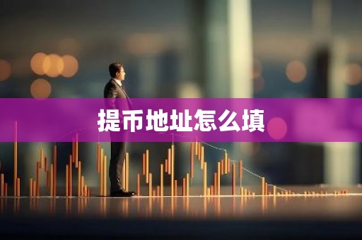 提币地址怎么填