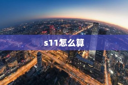 s11怎么算
