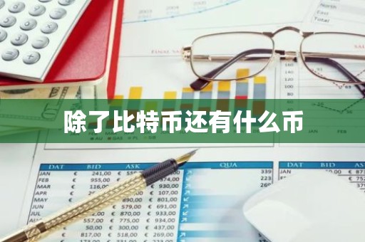 除了比特币还有什么币