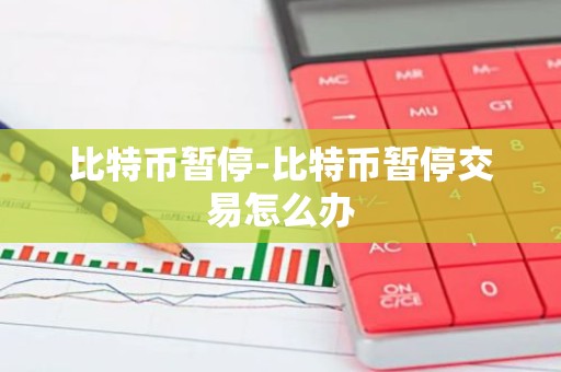 比特币暂停-比特币暂停交易怎么办