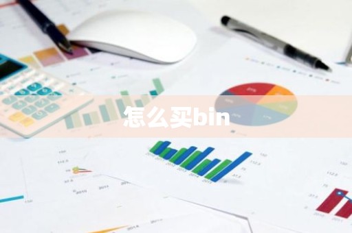 怎么买bin