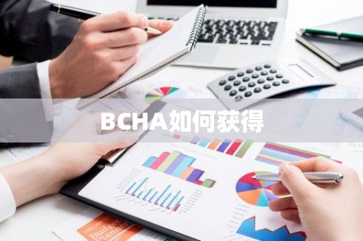 BCHA如何获得