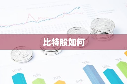 比特股如何