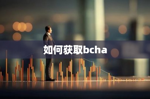 如何获取bcha