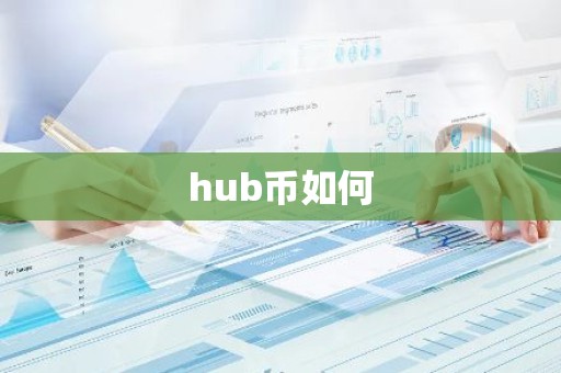 hub币如何