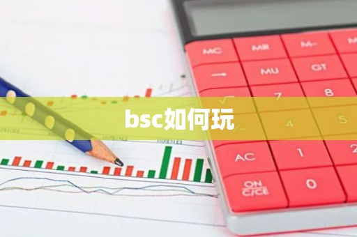 bsc如何玩