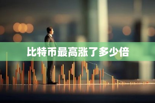 比特币最高涨了多少倍