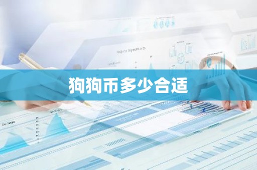狗狗币多少合适
