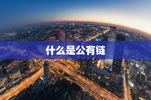 什么是公有链