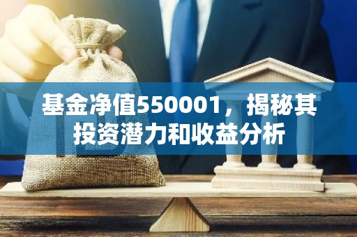 基金净值550001，揭秘其投资潜力和收益分析