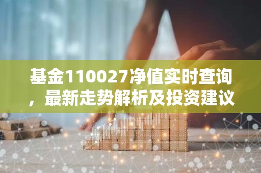 基金110027净值实时查询，最新走势解析及投资建议