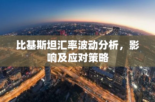 比基斯坦汇率波动分析，影响及应对策略