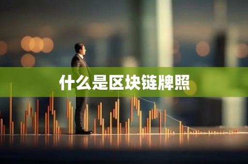 什么是区块链牌照