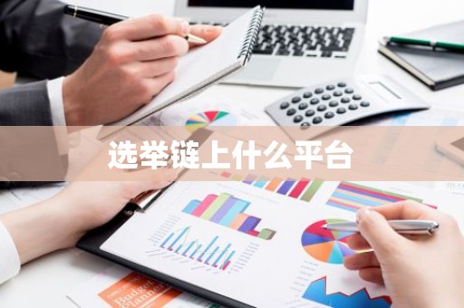 选举链上什么平台