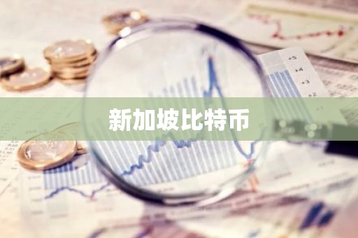 新加坡比特币
