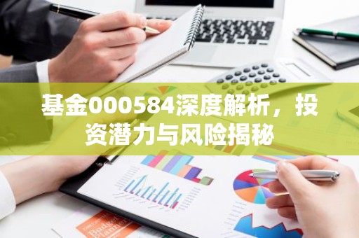基金000584深度解析，投资潜力与风险揭秘