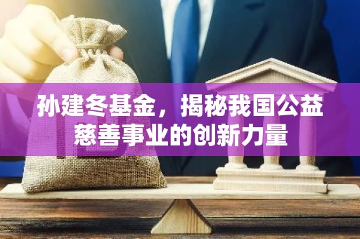 孙建冬基金，揭秘我国公益慈善事业的创新力量
