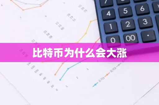 比特币为什么会大涨