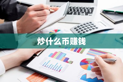 炒什么币赚钱