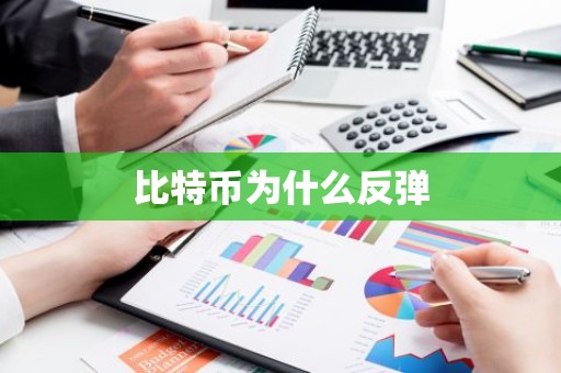 比特币为什么反弹