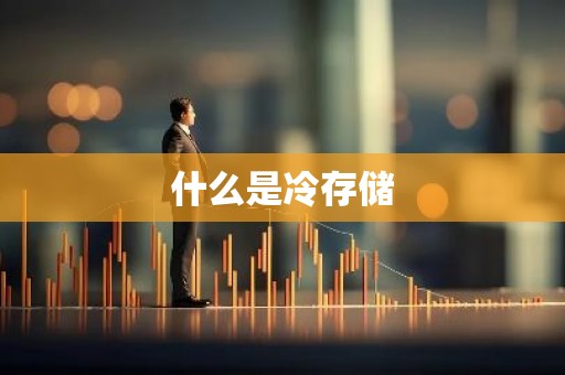 什么是冷存储