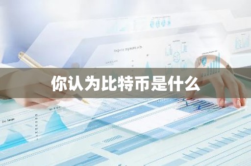 你认为比特币是什么