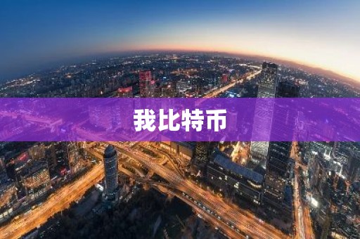 我比特币