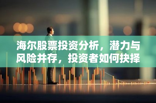 海尔股票投资分析，潜力与风险并存，投资者如何抉择？