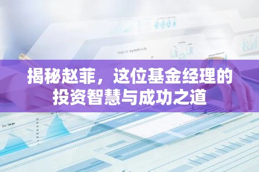 揭秘赵菲，这位基金经理的投资智慧与成功之道