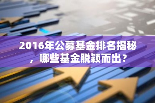 2016年公募基金排名揭秘，哪些基金脱颖而出？