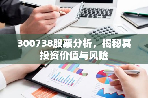 300738股票分析，揭秘其投资价值与风险