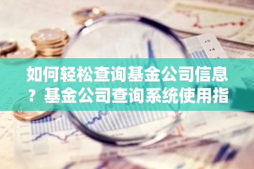 如何轻松查询基金公司信息？基金公司查询系统使用指南