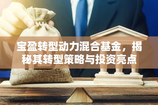 宝盈转型动力混合基金，揭秘其转型策略与投资亮点