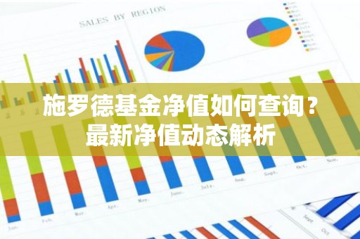 施罗德基金净值如何查询？最新净值动态解析