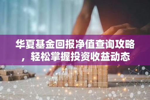 华夏基金回报净值查询攻略，轻松掌握投资收益动态